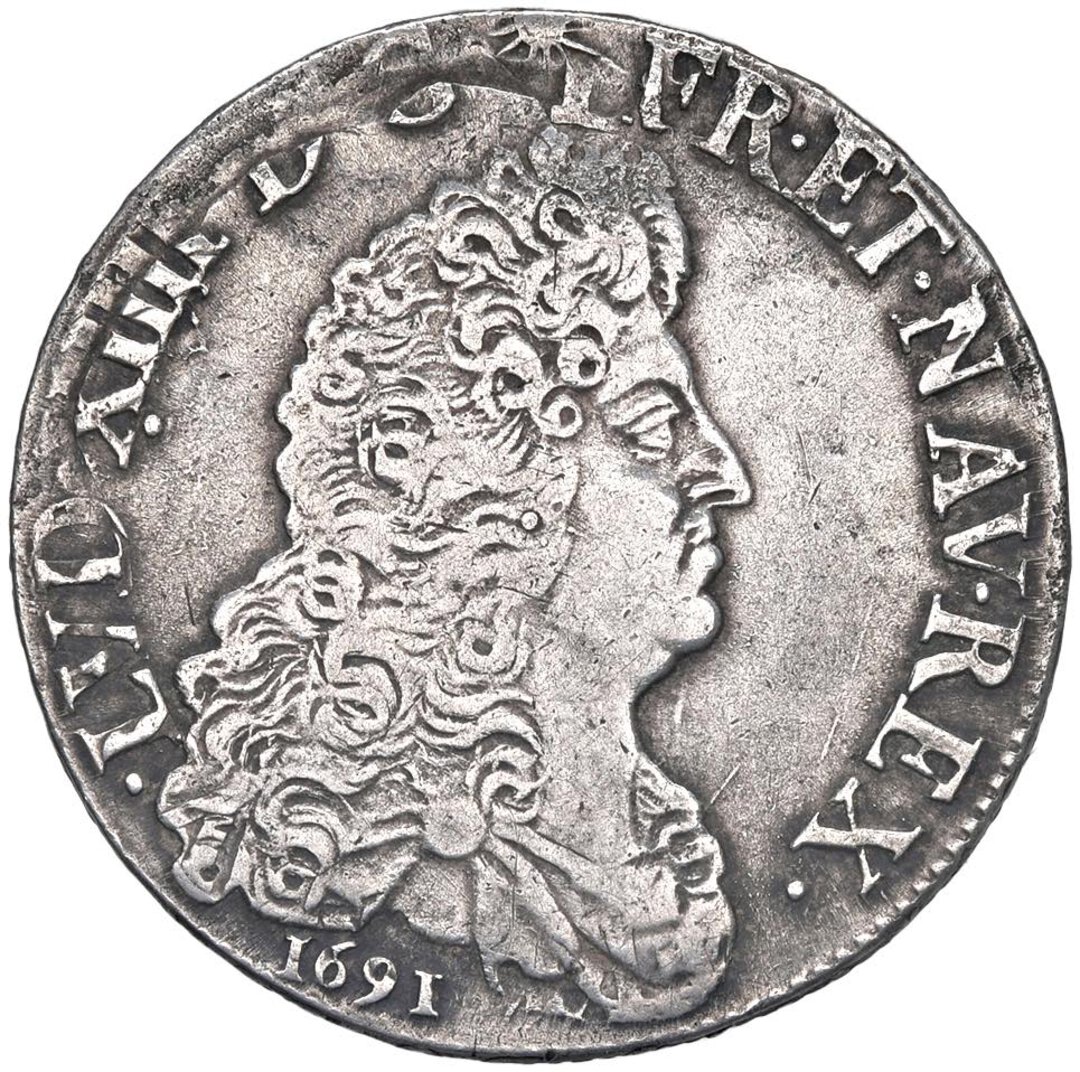 Dritto moneta
