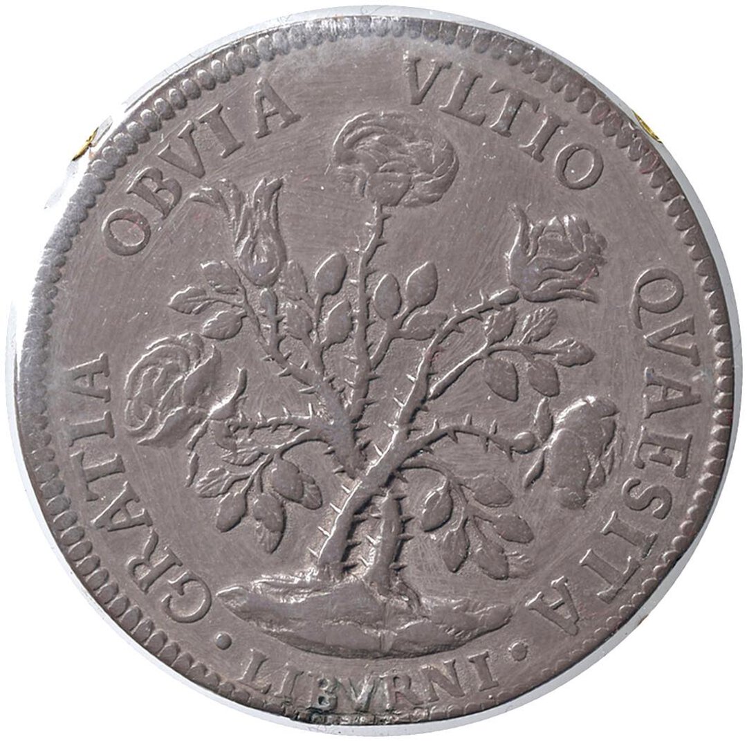 Rovescio moneta