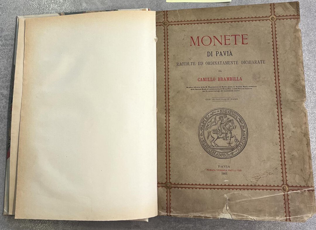 Rovescio moneta