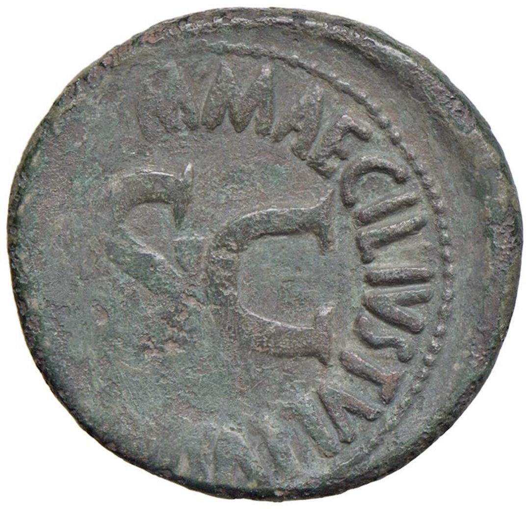 Rovescio moneta