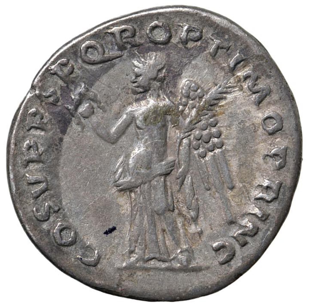 Rovescio moneta