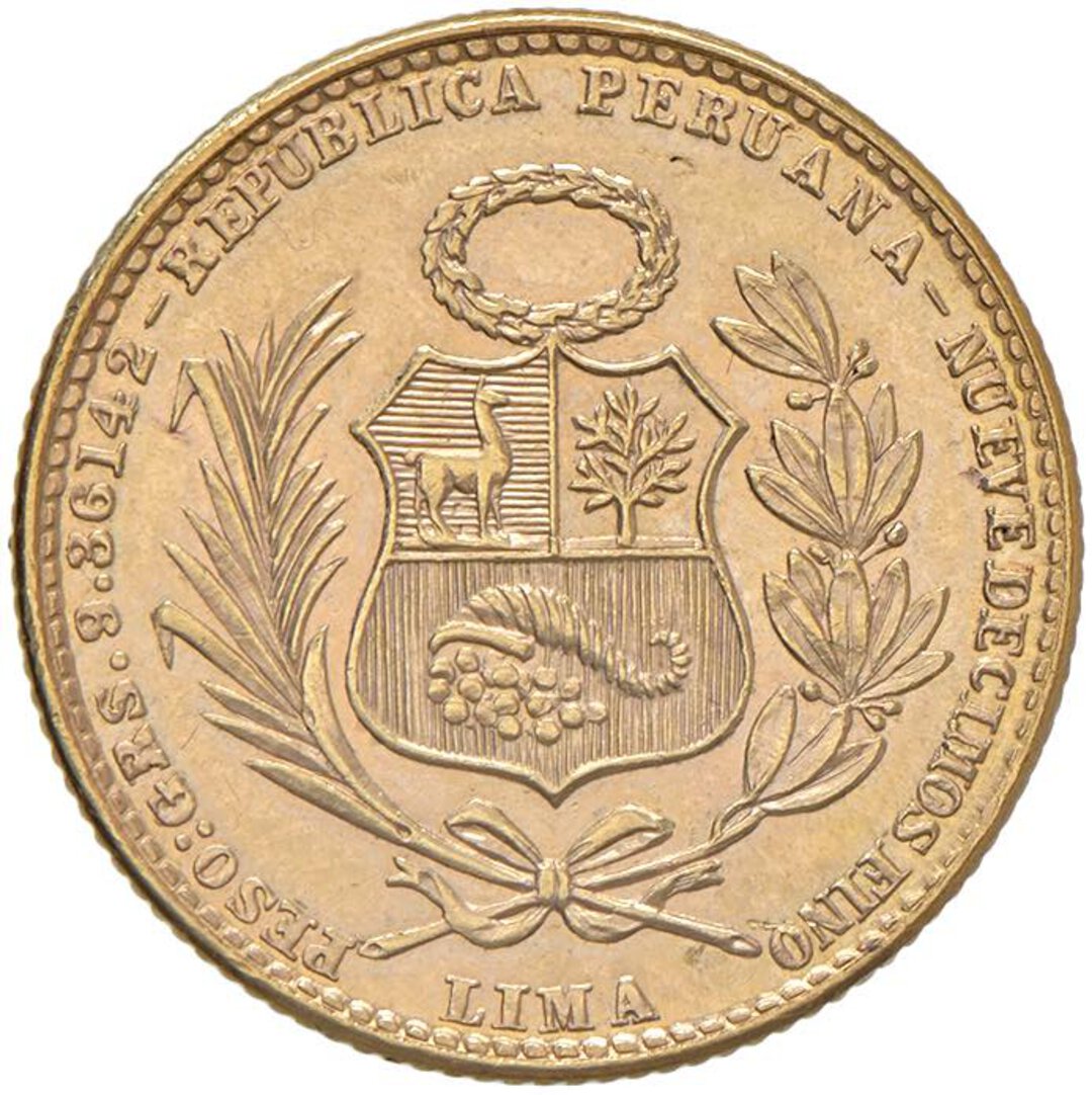 Dritto moneta