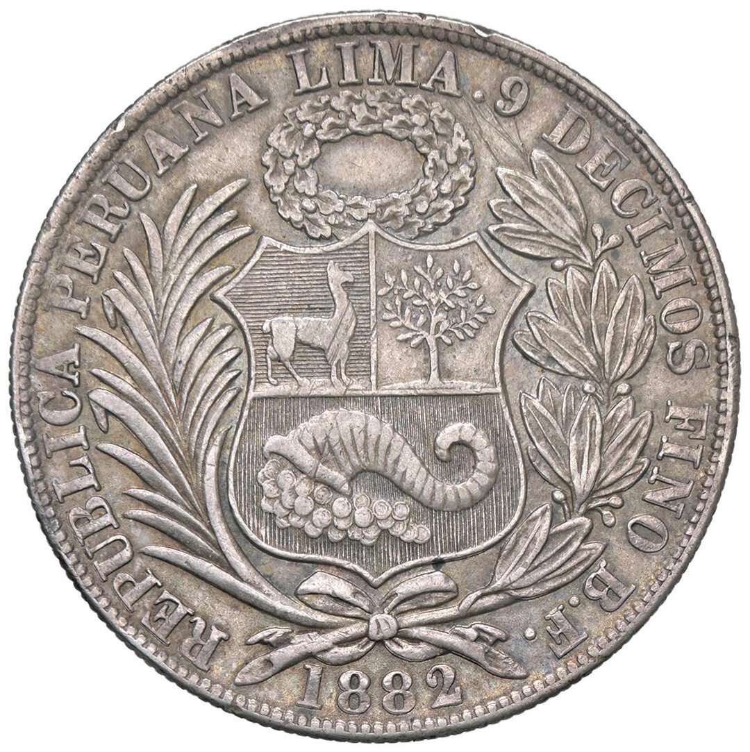 Dritto moneta