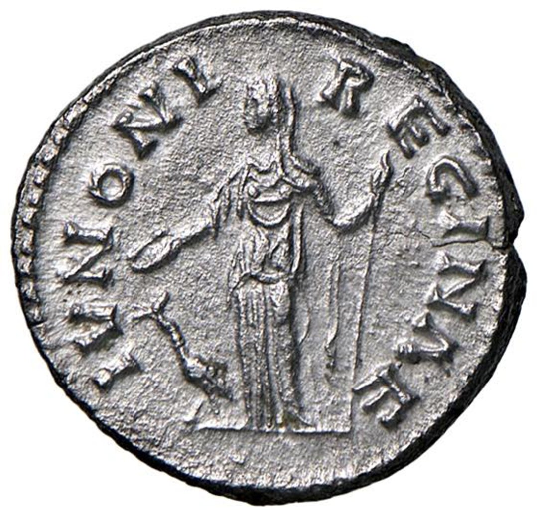 Rovescio moneta
