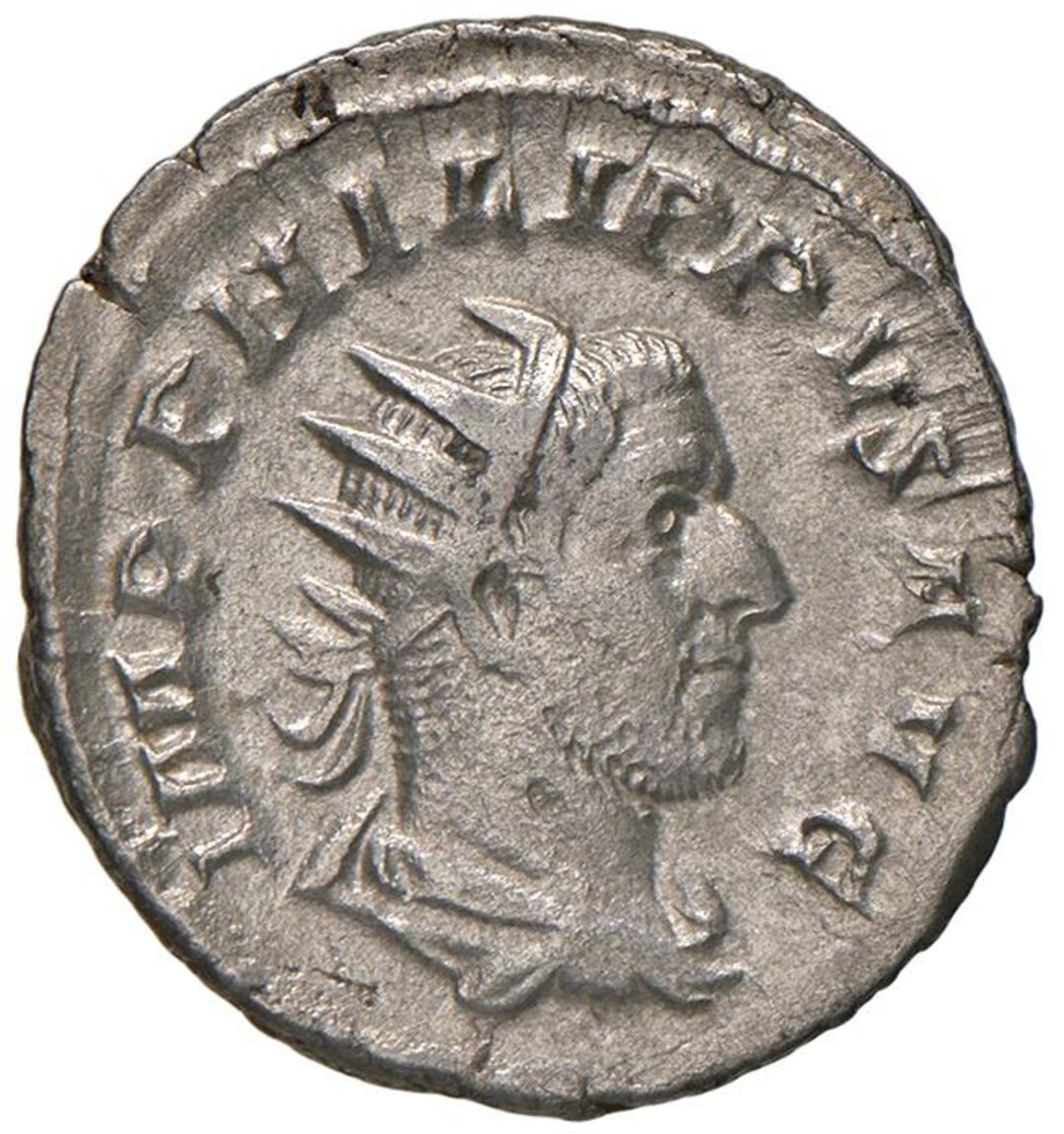 Dritto moneta
