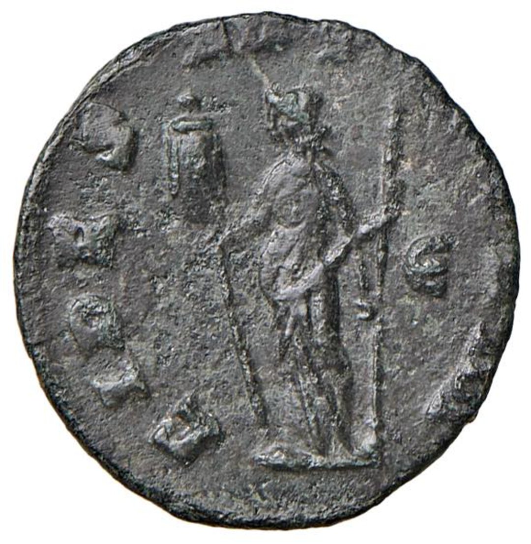 Rovescio moneta