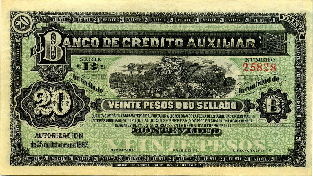 Dritto moneta