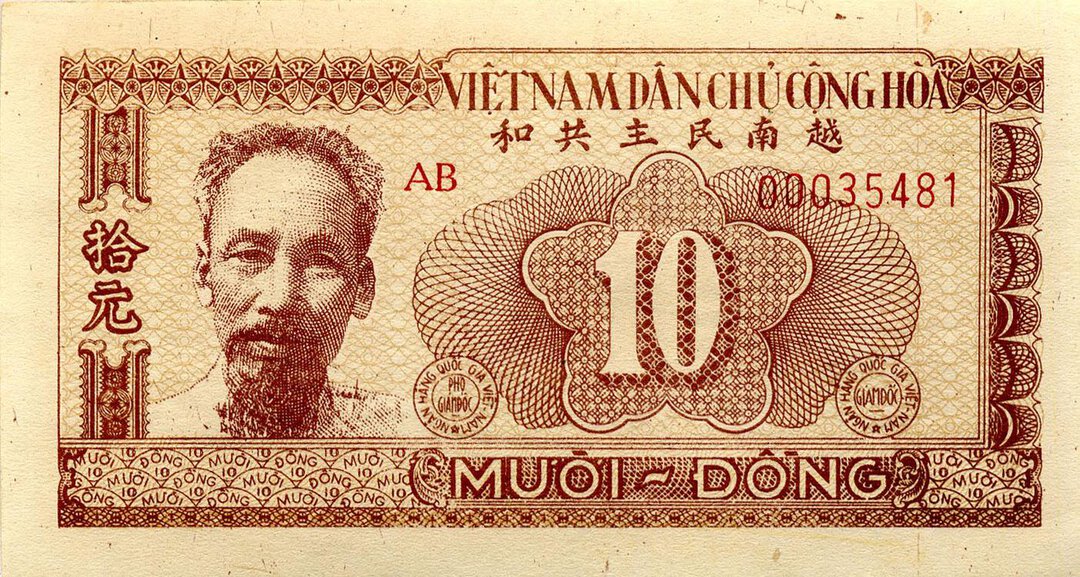 Dritto moneta