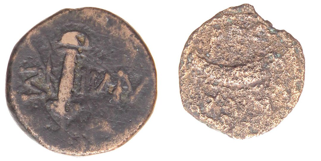 Rovescio moneta