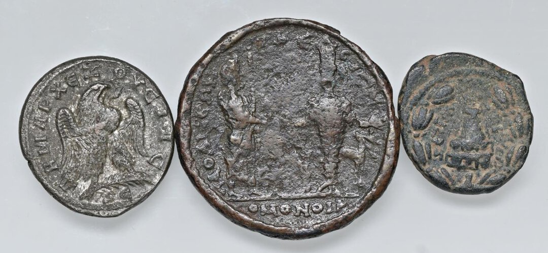 Rovescio moneta