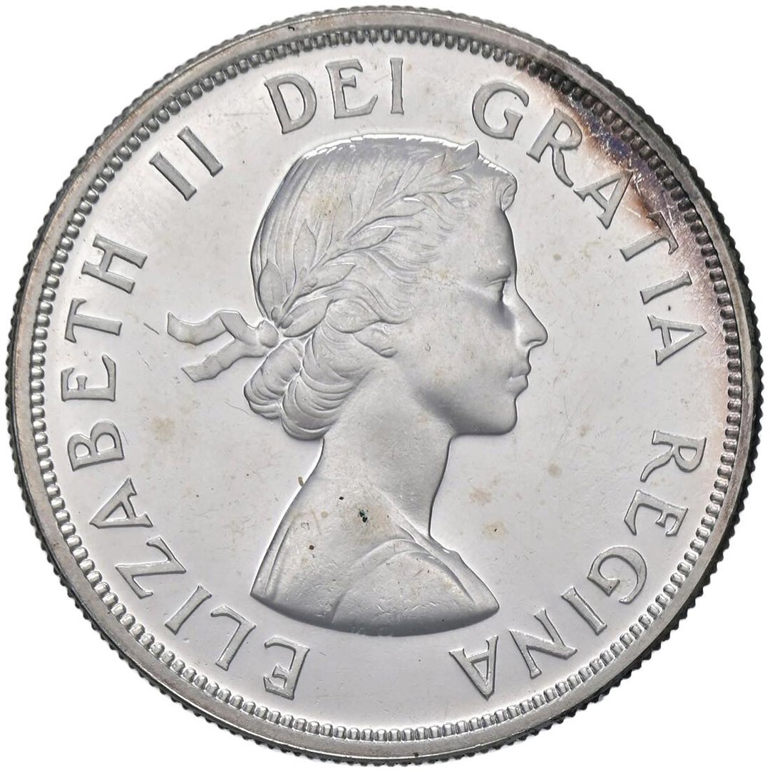 Dritto moneta