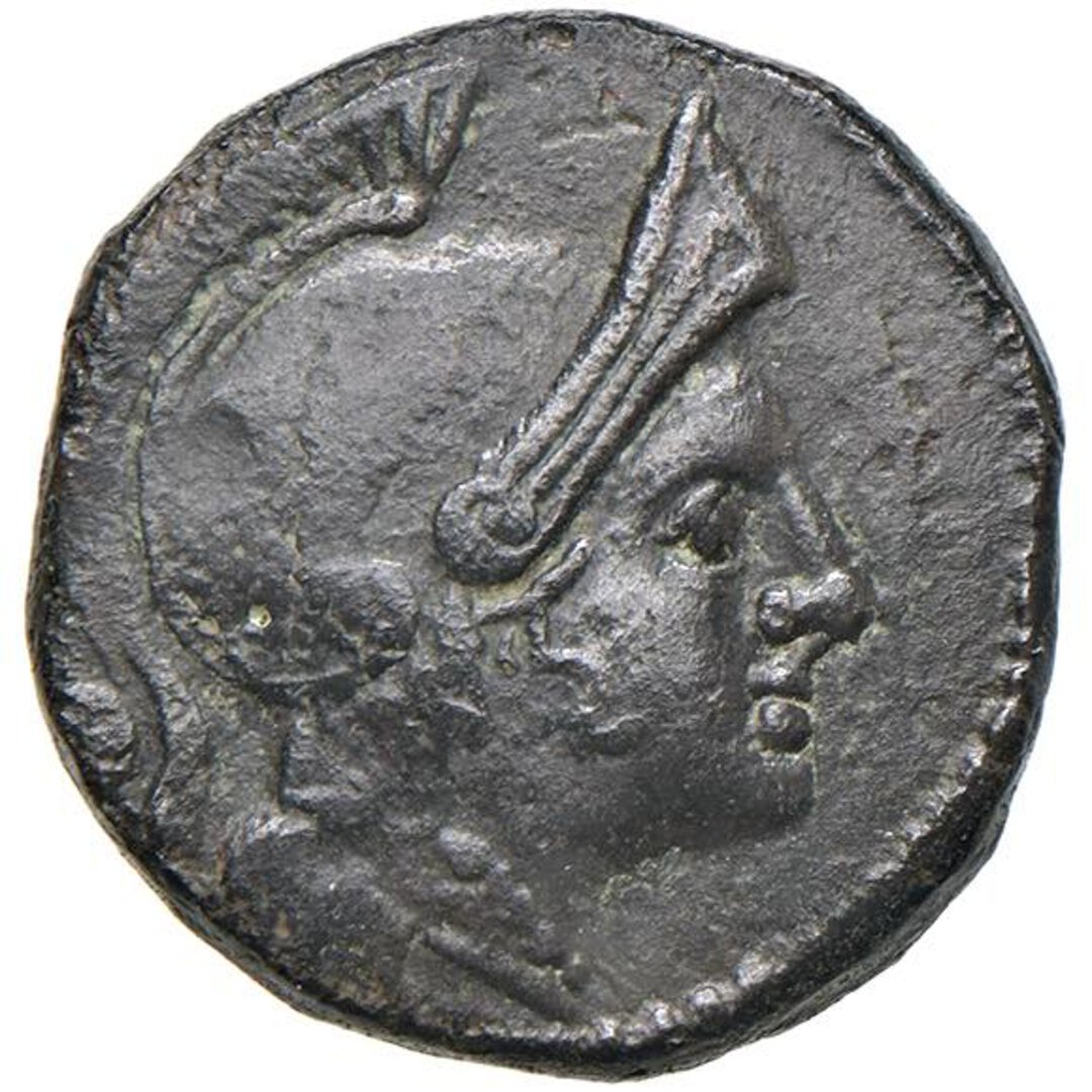 Dritto moneta