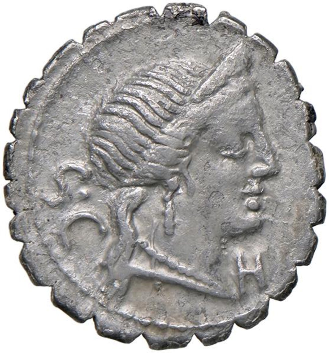 Dritto moneta