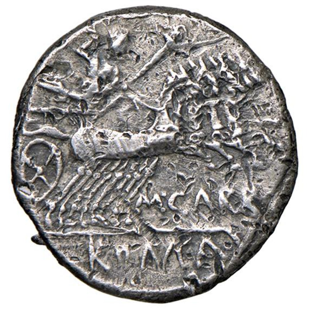 Rovescio moneta