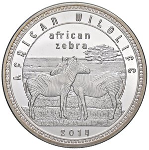 Reverse image