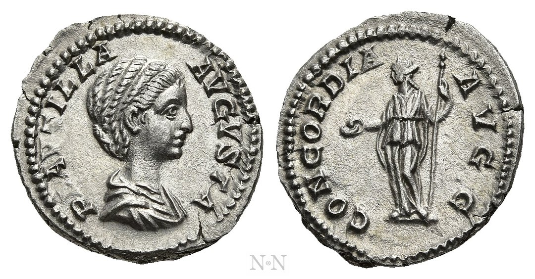 Dritto moneta