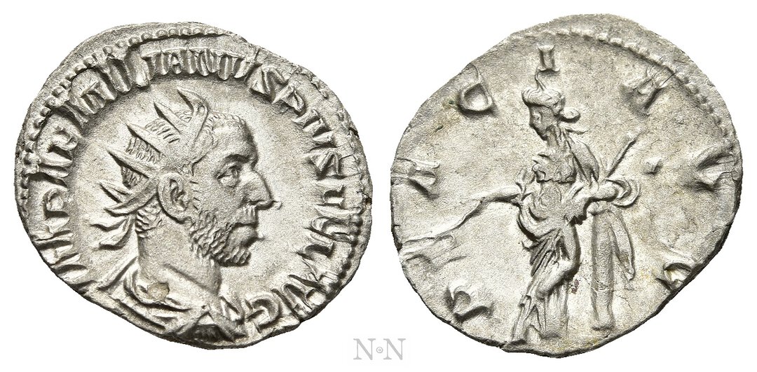 Dritto moneta