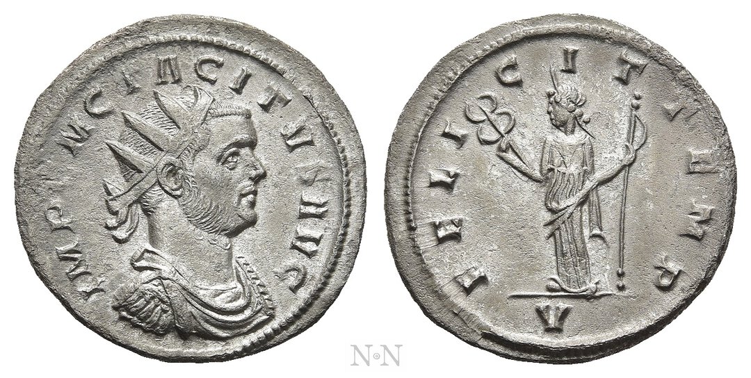 Dritto moneta