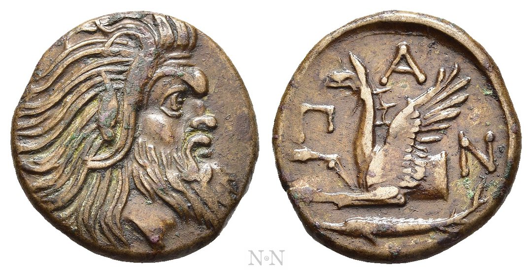Dritto moneta