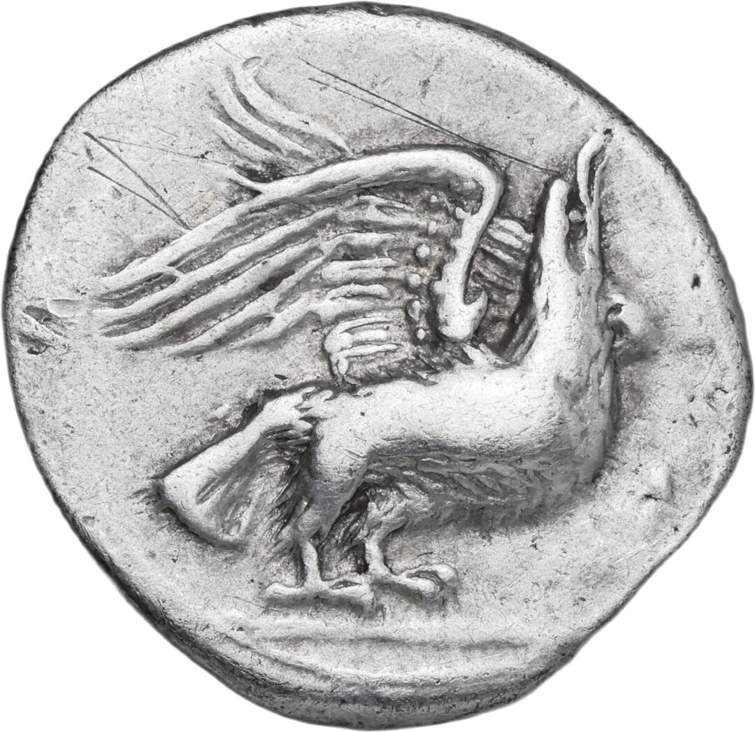 Dritto moneta