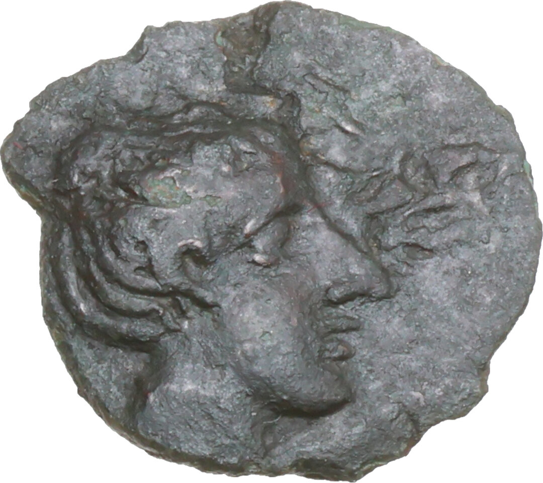 Dritto moneta