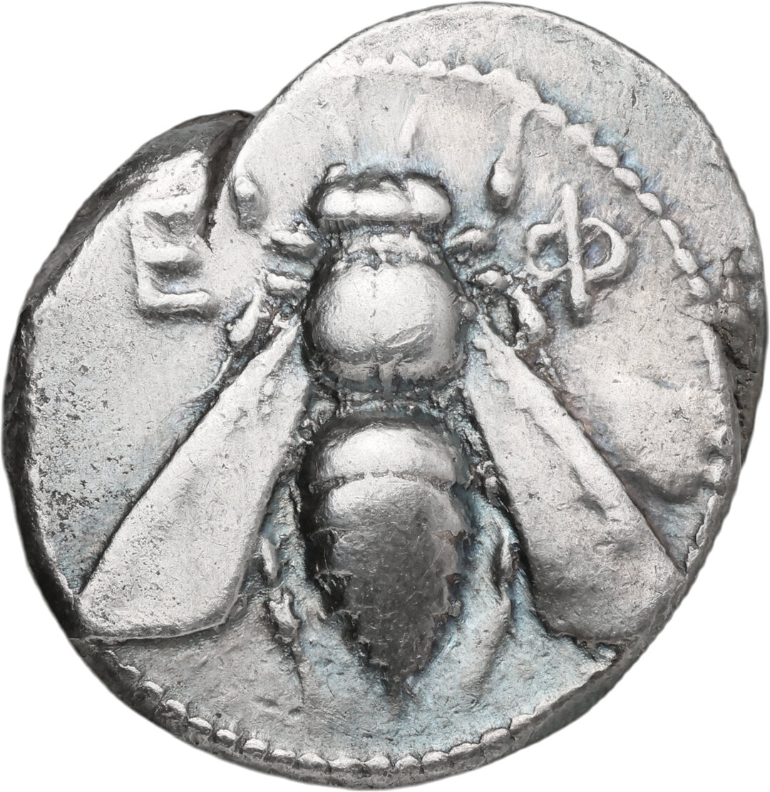 Dritto moneta