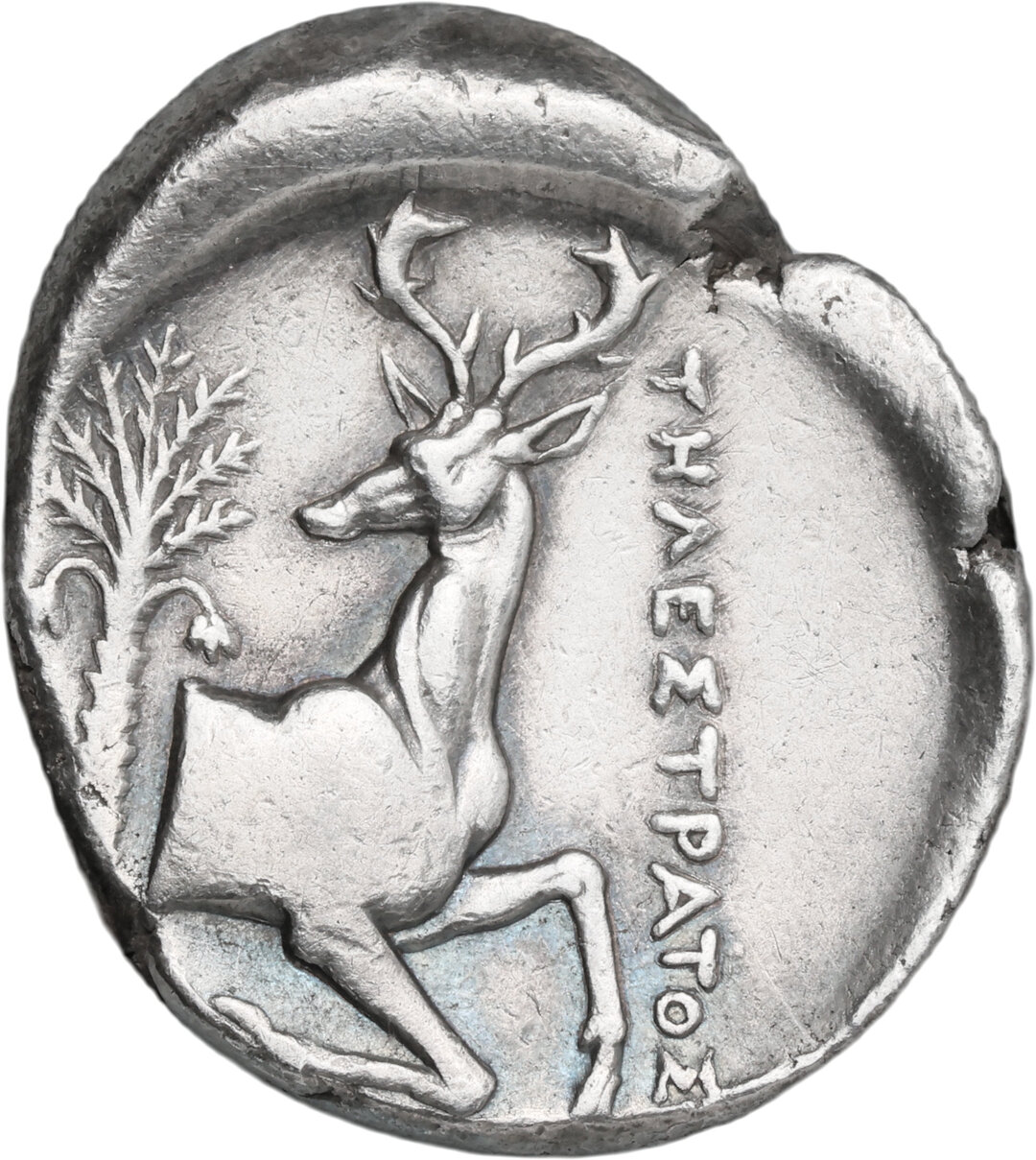 Rovescio moneta