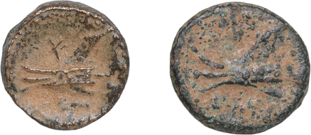 Rovescio moneta
