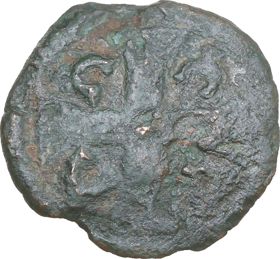 Rovescio moneta