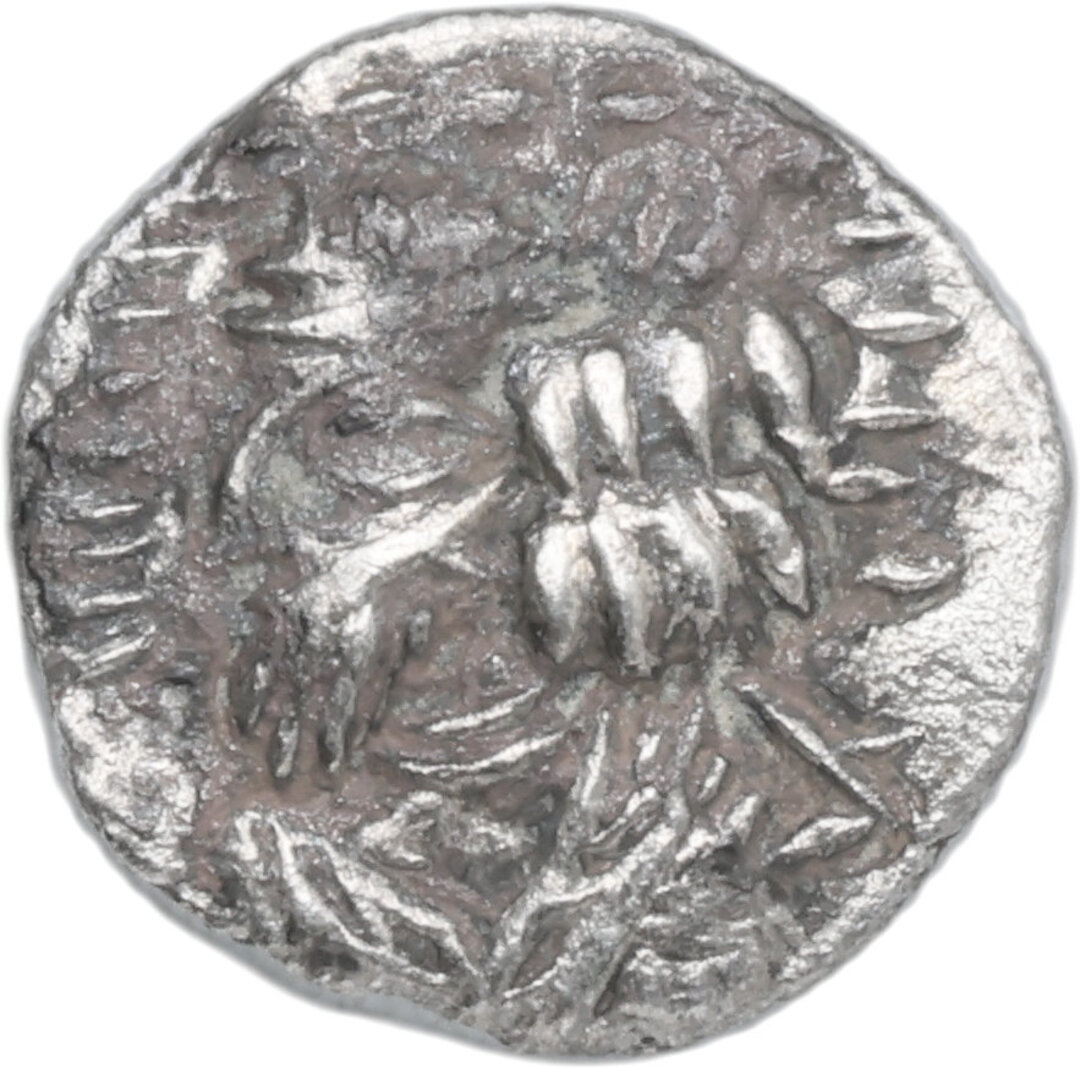 Dritto moneta