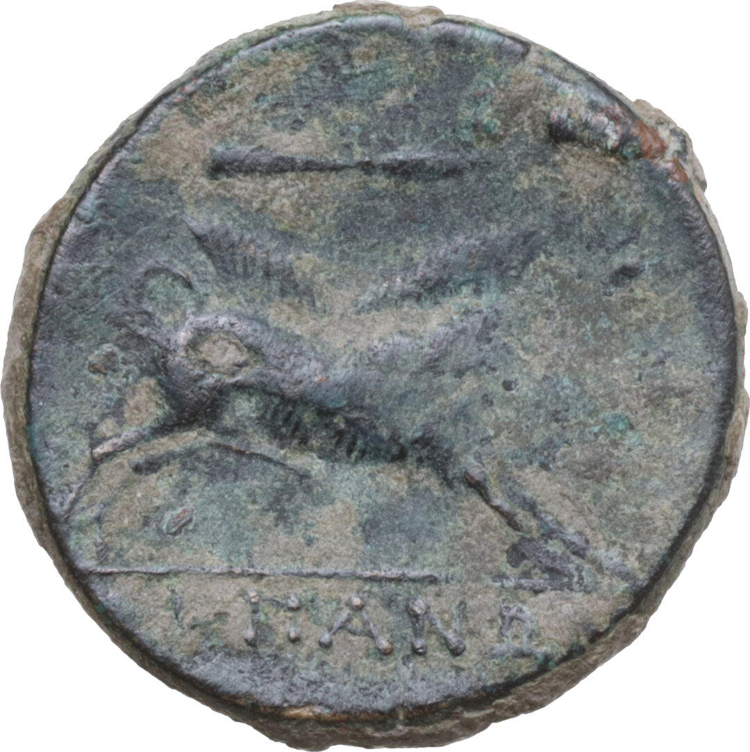 Rovescio moneta