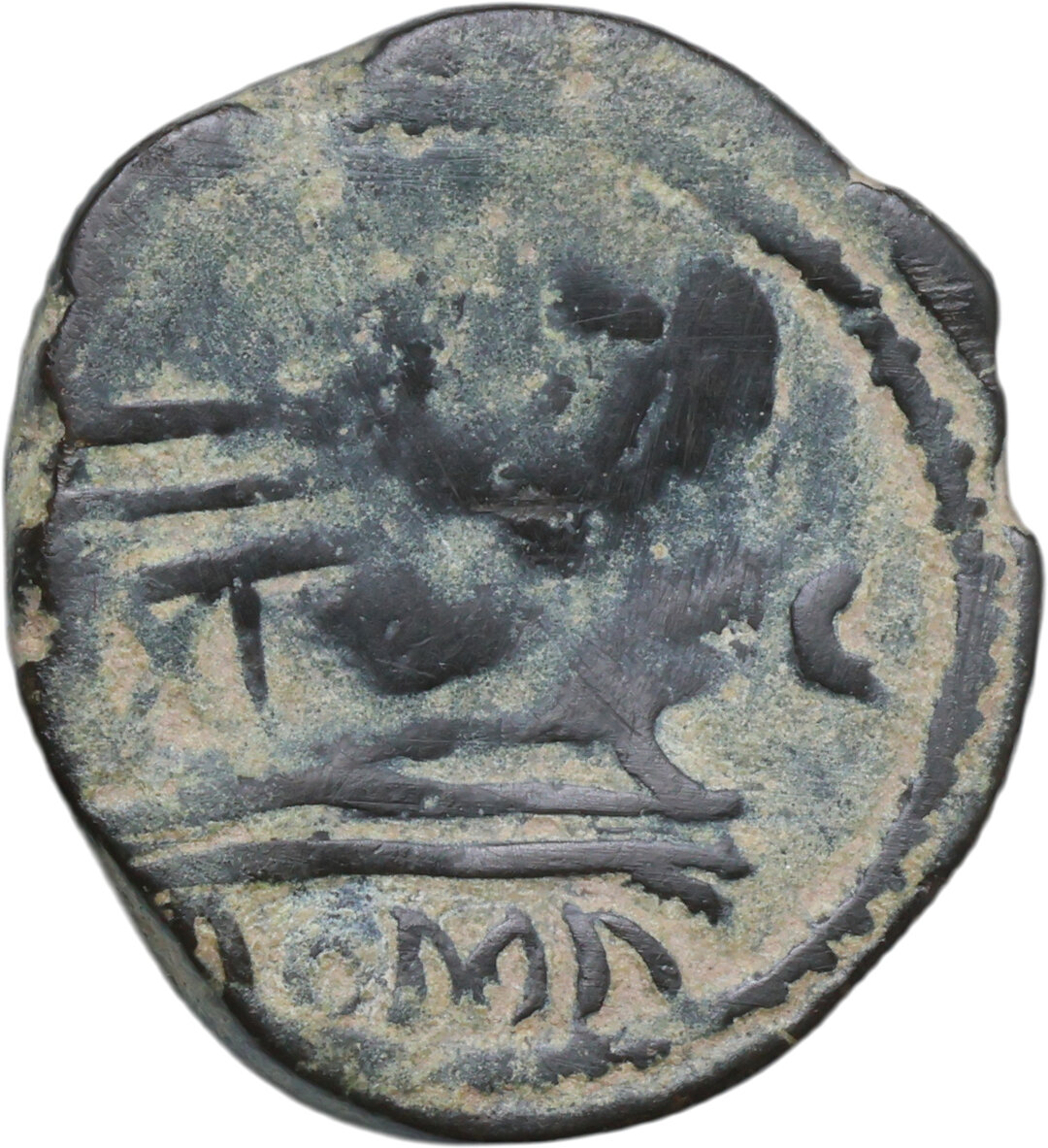 Rovescio moneta