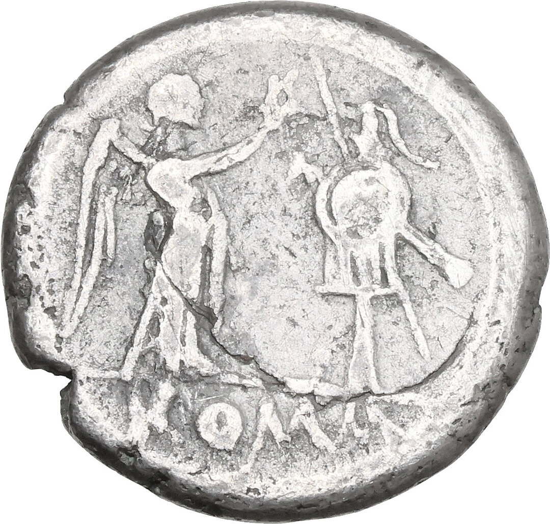 Rovescio moneta