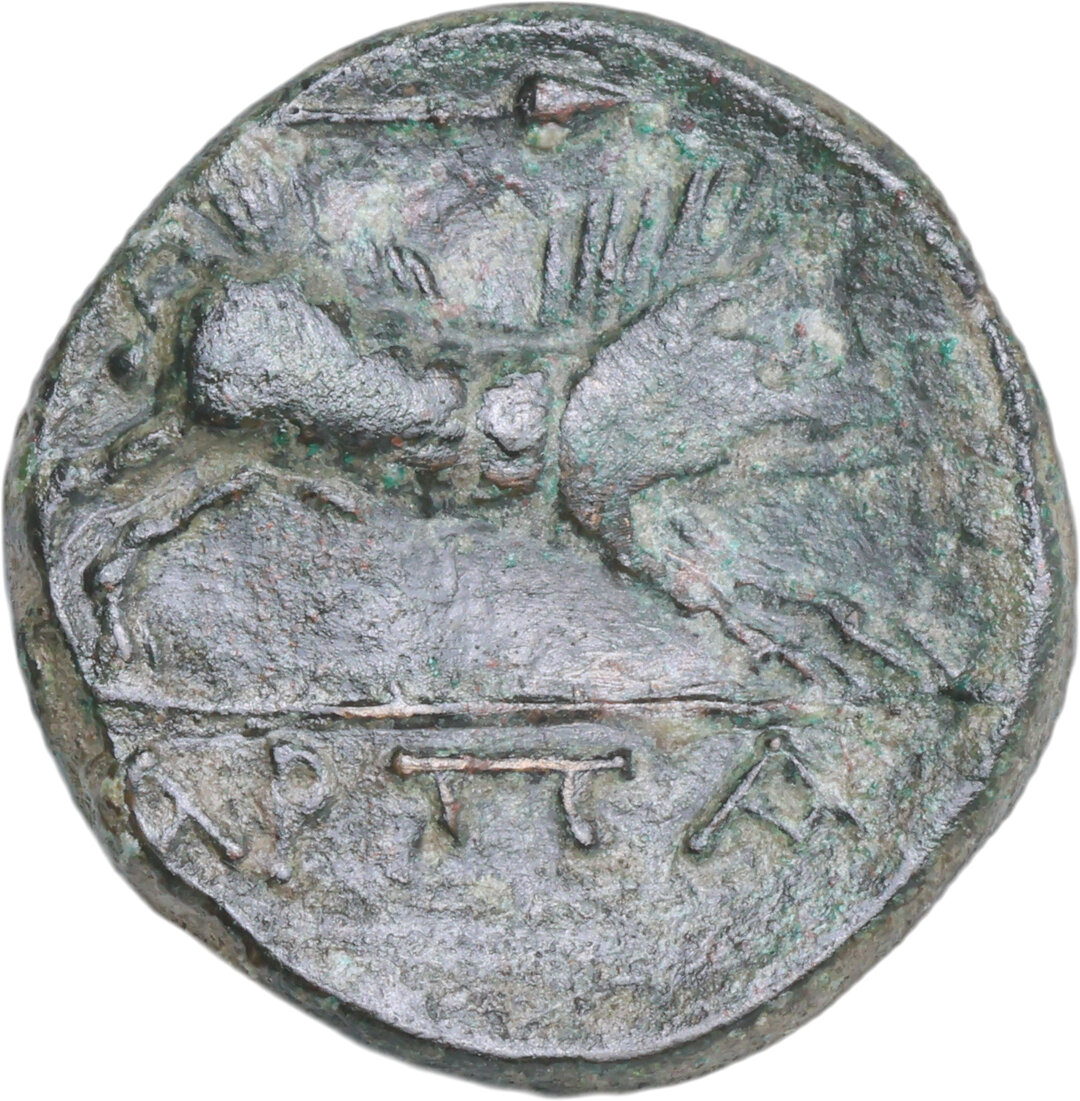 Rovescio moneta