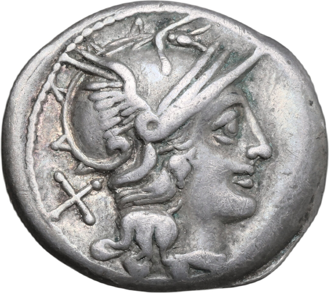 Dritto moneta