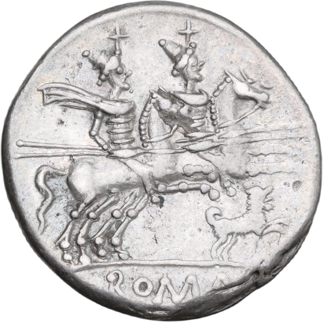 Rovescio moneta