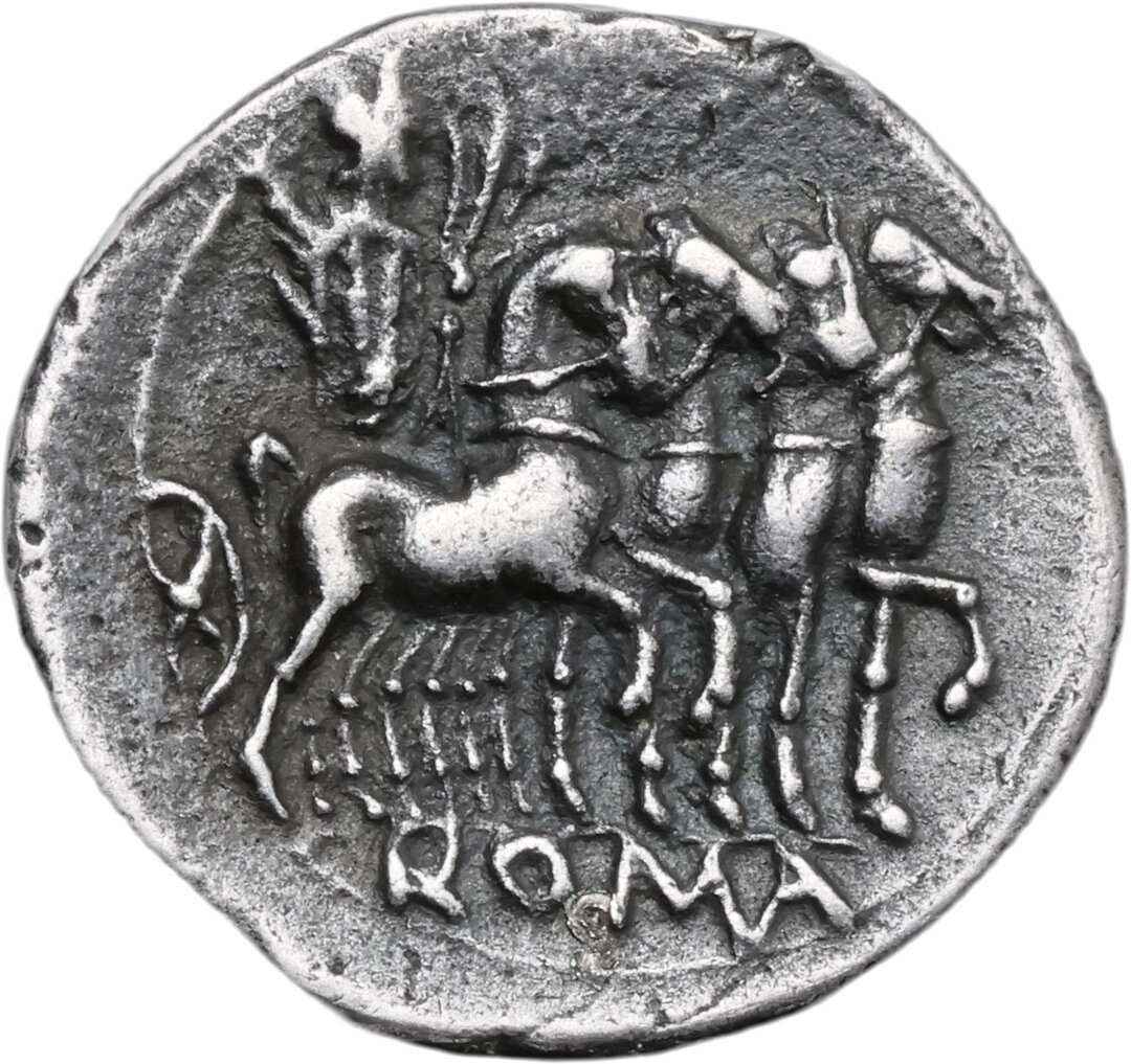Rovescio moneta