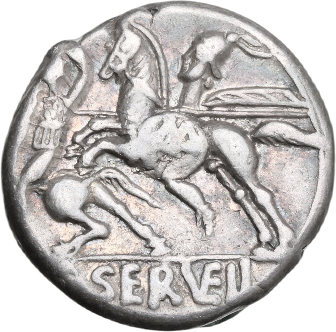 Rovescio moneta
