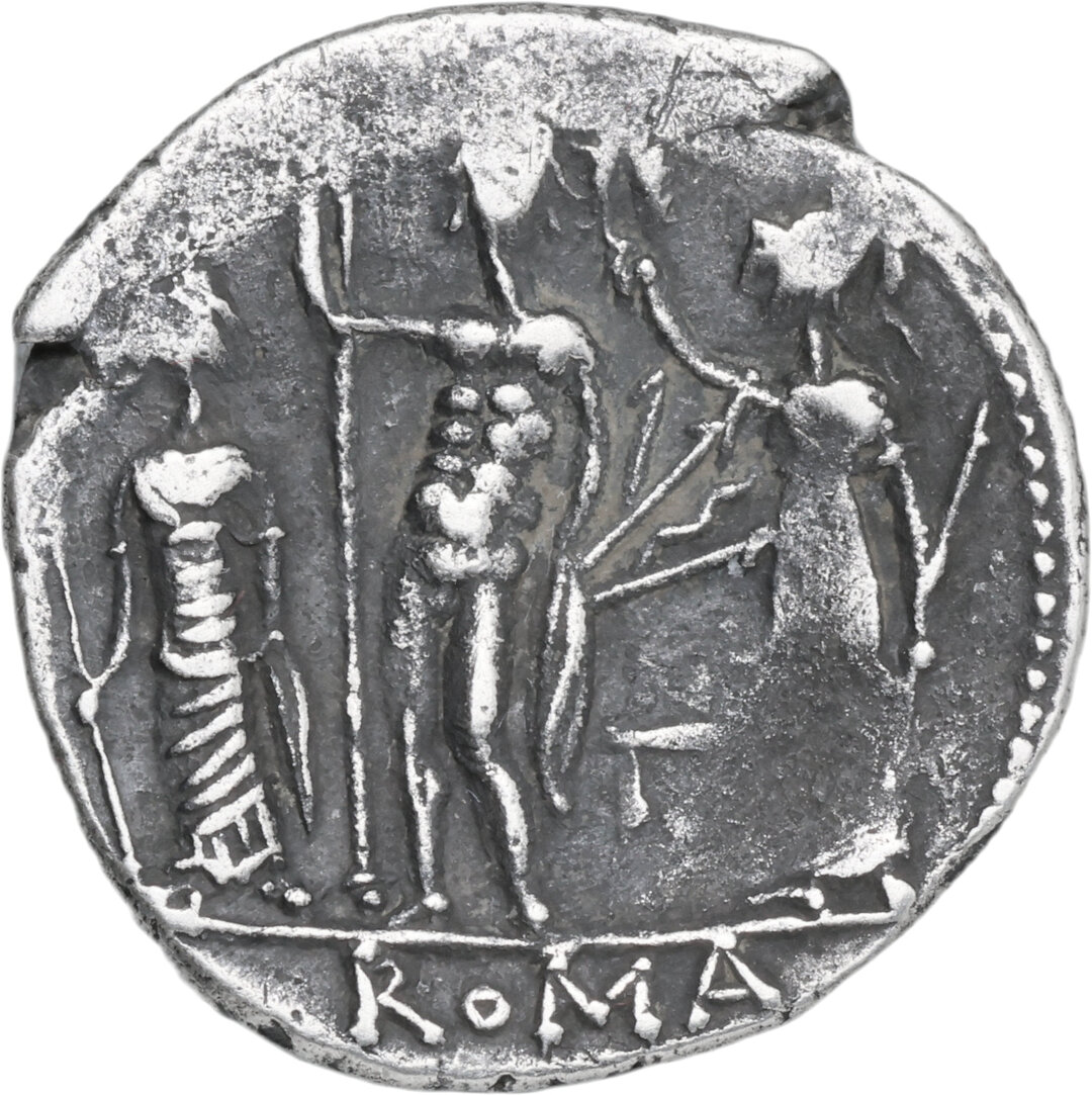 Rovescio moneta