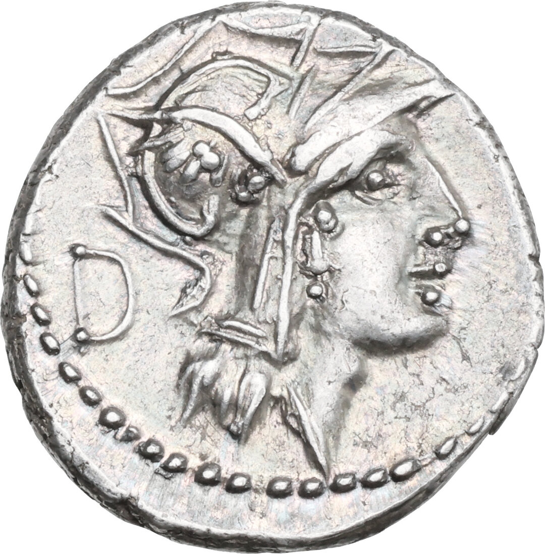 Dritto moneta