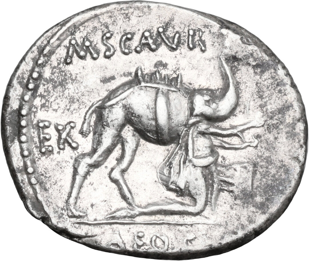 Dritto moneta