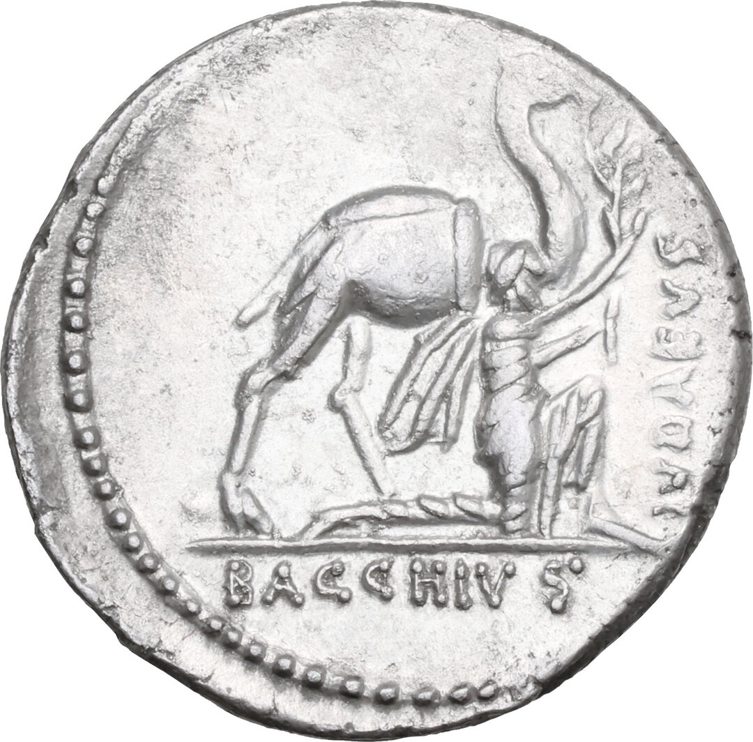 Rovescio moneta