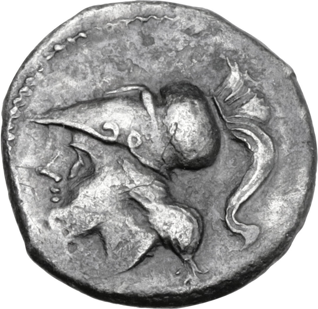 Dritto moneta