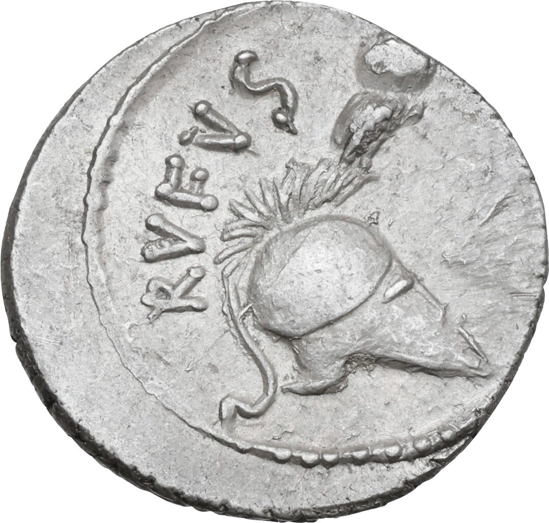 Dritto moneta