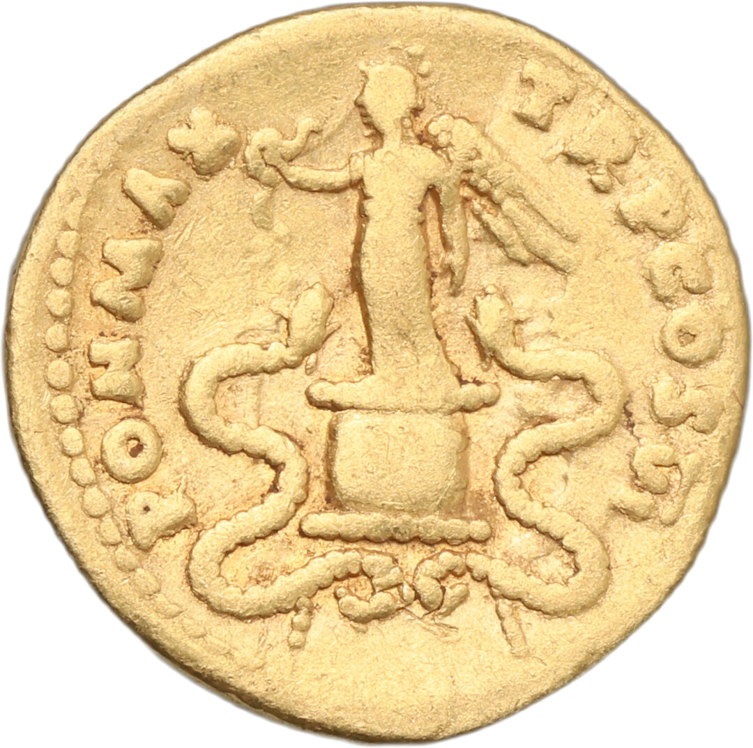 Rovescio moneta
