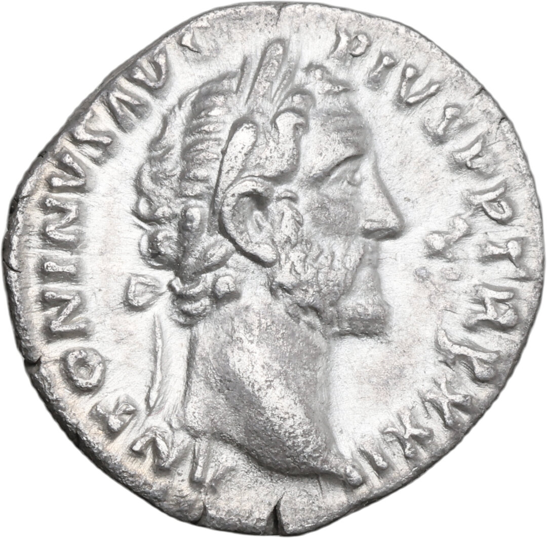 Dritto moneta