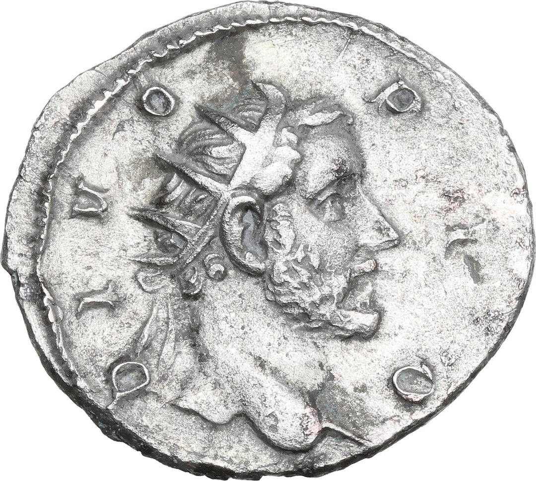 Dritto moneta
