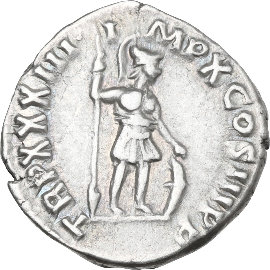 Rovescio moneta