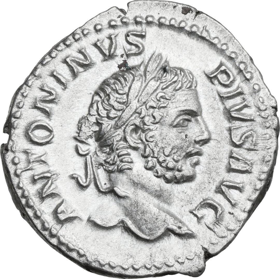 Dritto moneta