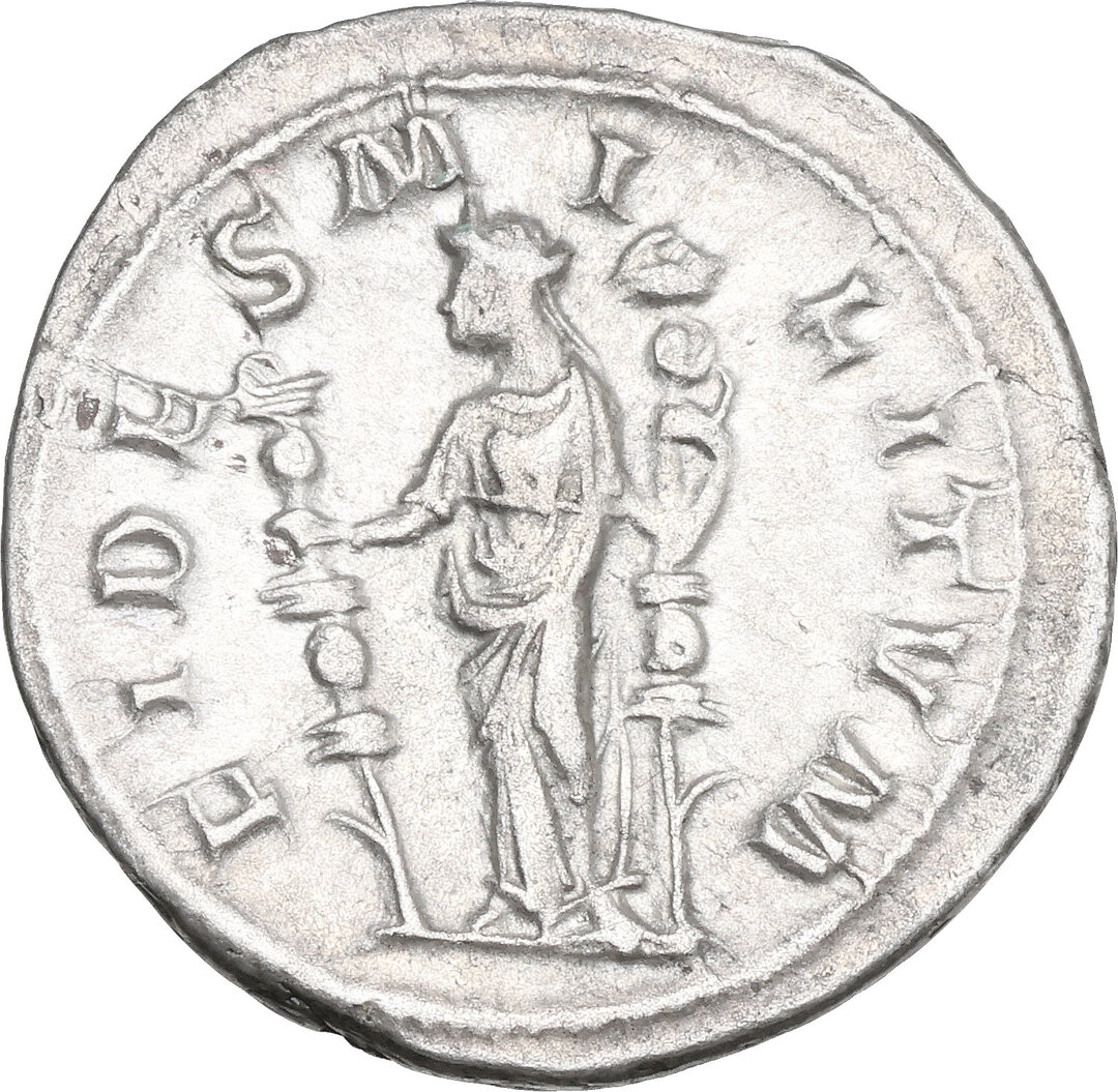 Rovescio moneta